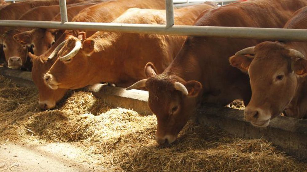 Photo d’illustration. © M.-F. Malterre / GFA